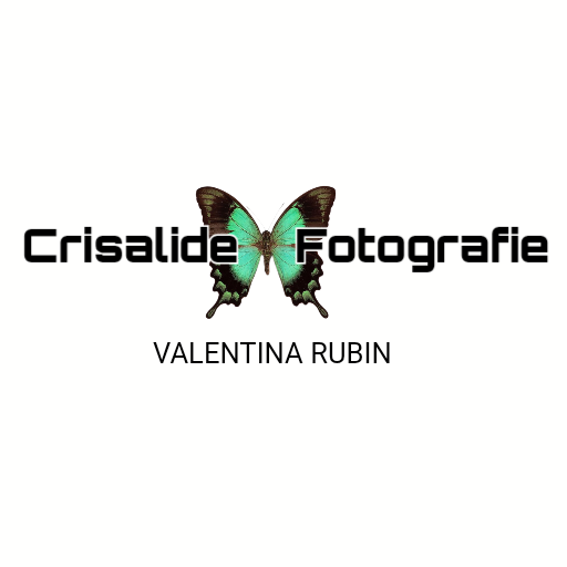 Logo di Crisalide Fotografie con una farfalla verde tra le parole, e il nome della fotografa Valentina Rubin sotto; simbolo della metamorfosi e della bellezza della vita