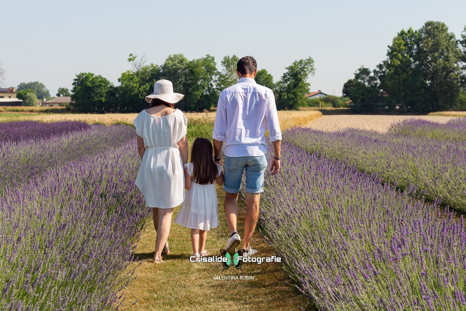 Mamma, papà e figlia girati di spalle, vestiti di bianco, camminano mano nella mano tra i filari di lavanda