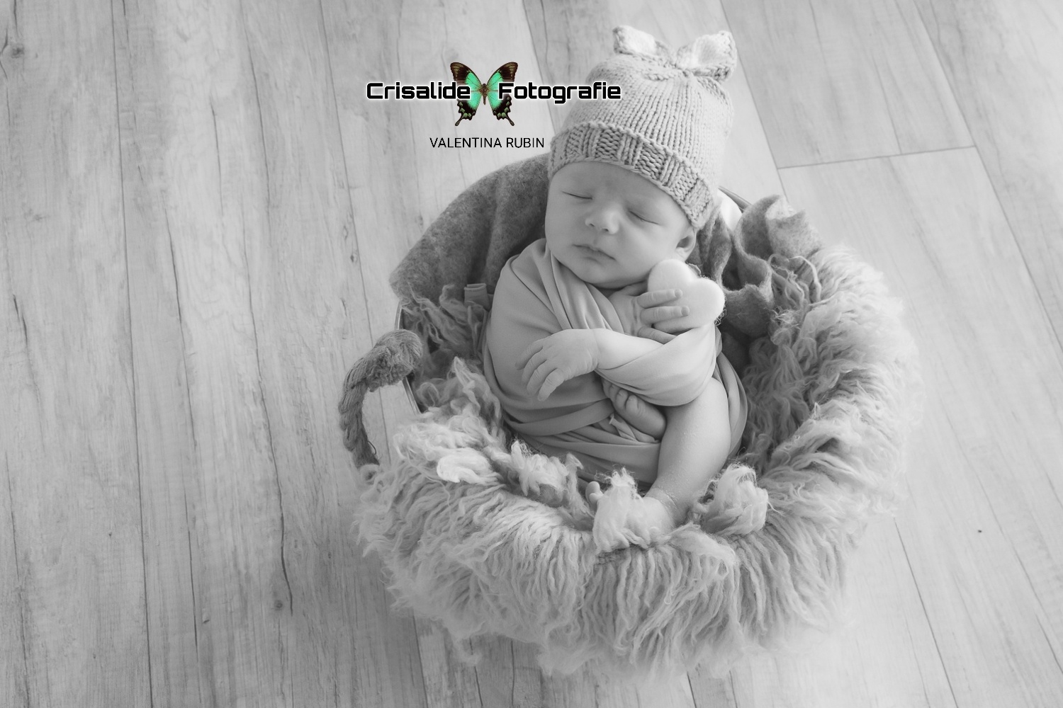 Neonato che dorme dentro un secchio, avvolto in fascia grigia con berretto da coniglietto, cuore bianco in mano, scatto newborn in bianco e nero