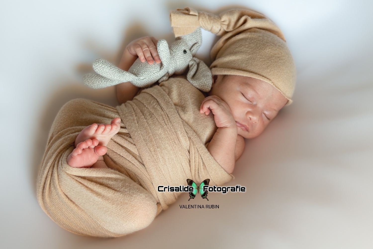 Neonato che dorme, fasciato di tessuto beige, con berrettino coordinato, in mano tiene un coniglietto di peluche. Sfondo bianco