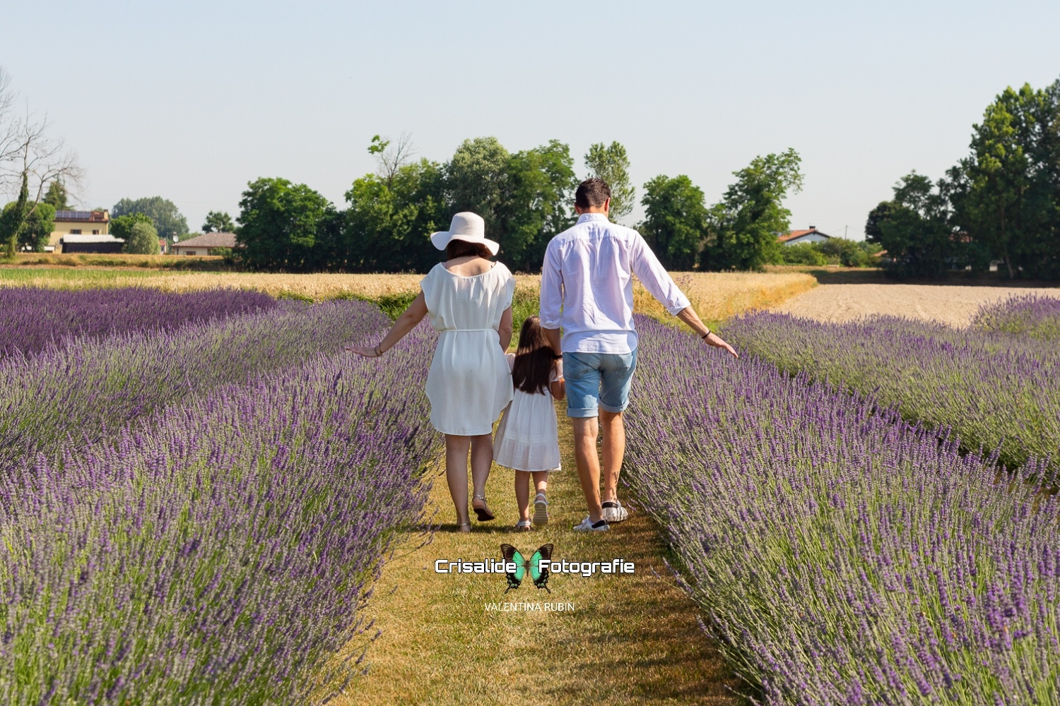 Mamma, papà e bambina di spalle camminano mano nella mano tra i filari di lavanda, vestiti di bianco, con le mani che sfiorano i fiori viola