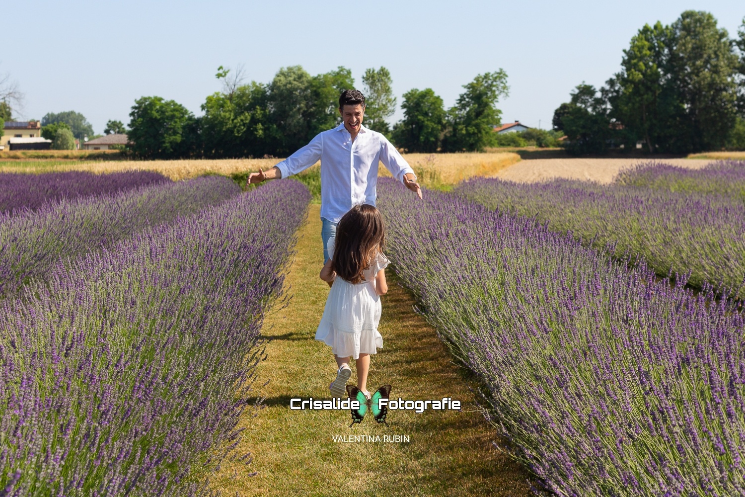 Papà che apre le braccia felice aspettando la bambina che gli sta correndo incontro girata di spalle, tra i filari di lavanda