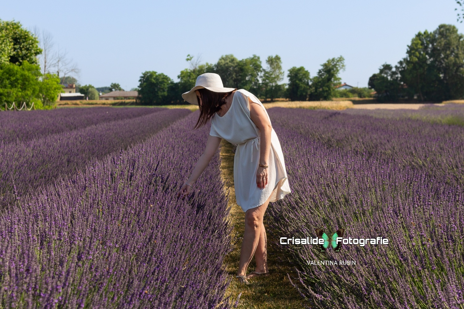 Mamma vestita di bianco con cappello bianco si china tra i filari di lavanda per toccare i fiori, immersa nel campo