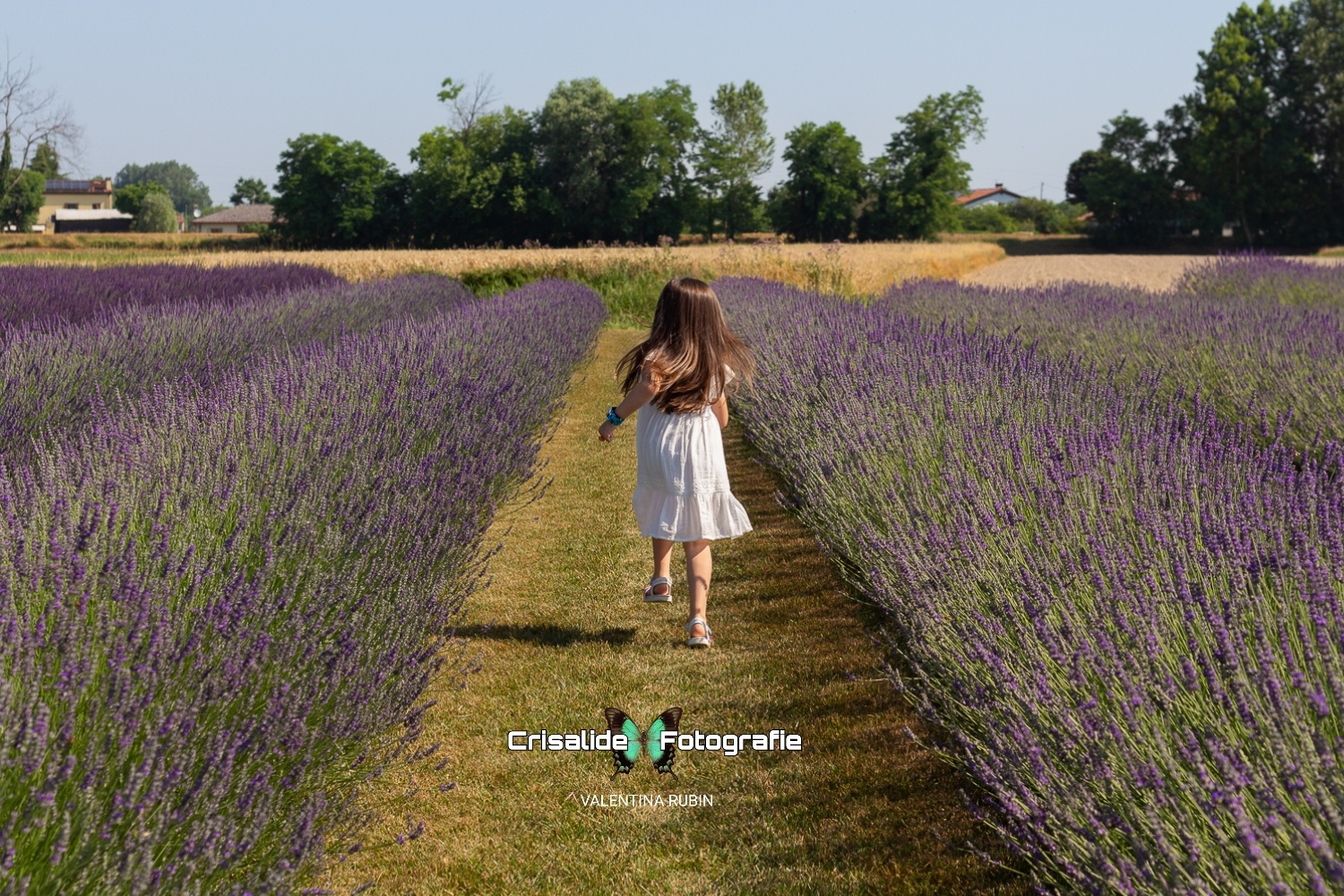 Bambina girata di spalle mentre corre tra i filari di lavanda