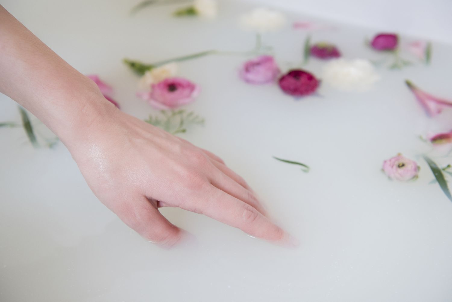 Primo piano di una mano di una donna, mentre sfiora il latte in una vaschetta, con fiori che galleggiano