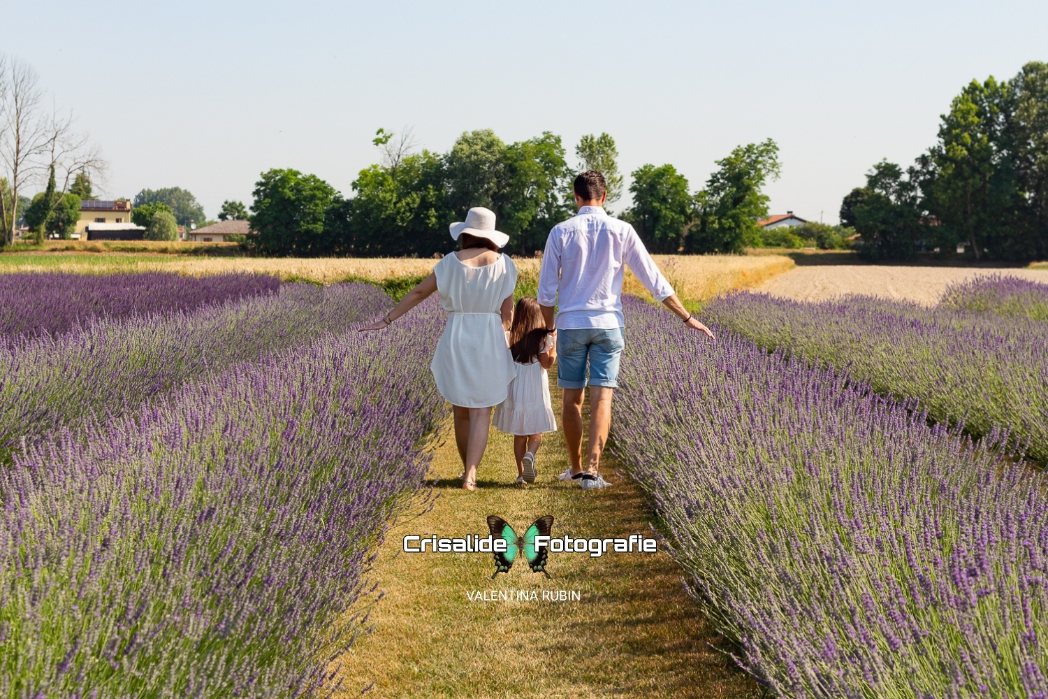 Famiglia composta da mamma sulla sinistra, bambina al centro e papà sulla destra. Sono girati di spalle in un campo di lavanda, con braccia che sporgono per toccare la lavanda