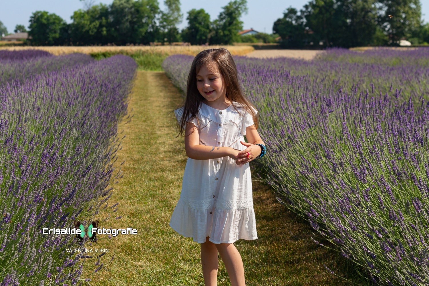 Bambina vestita di bianco con i capelli castani che inizia una giravolta tra i filari di lavanda